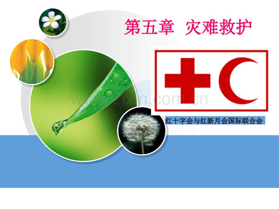 灾难护理2015.ppt_第1页