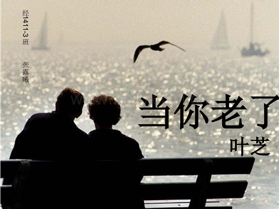 诗歌朗诵—当你老了(PPT文档).ppt_第1页