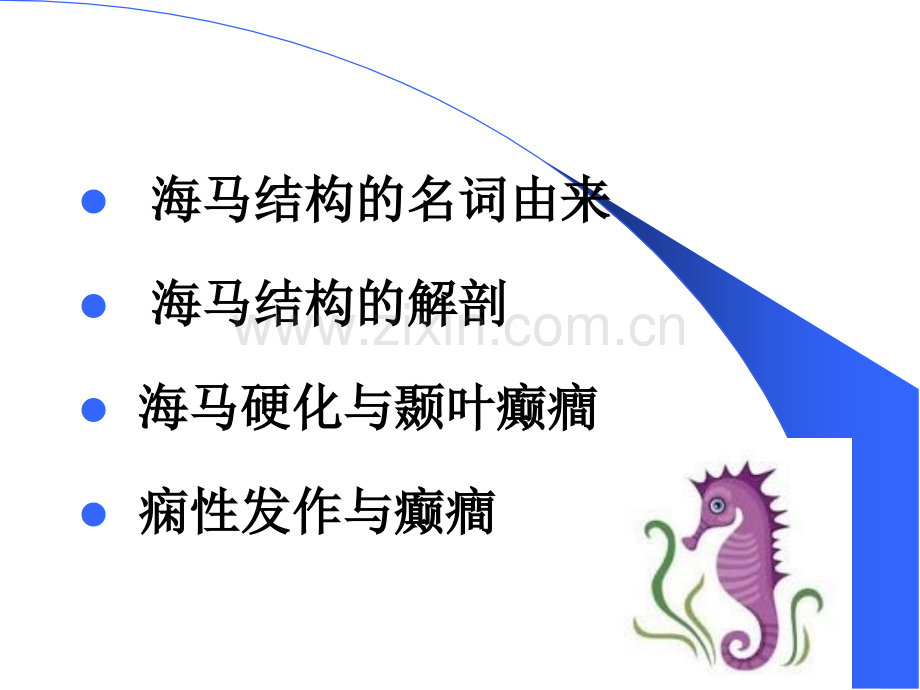 海马结构与癫痫.ppt_第2页