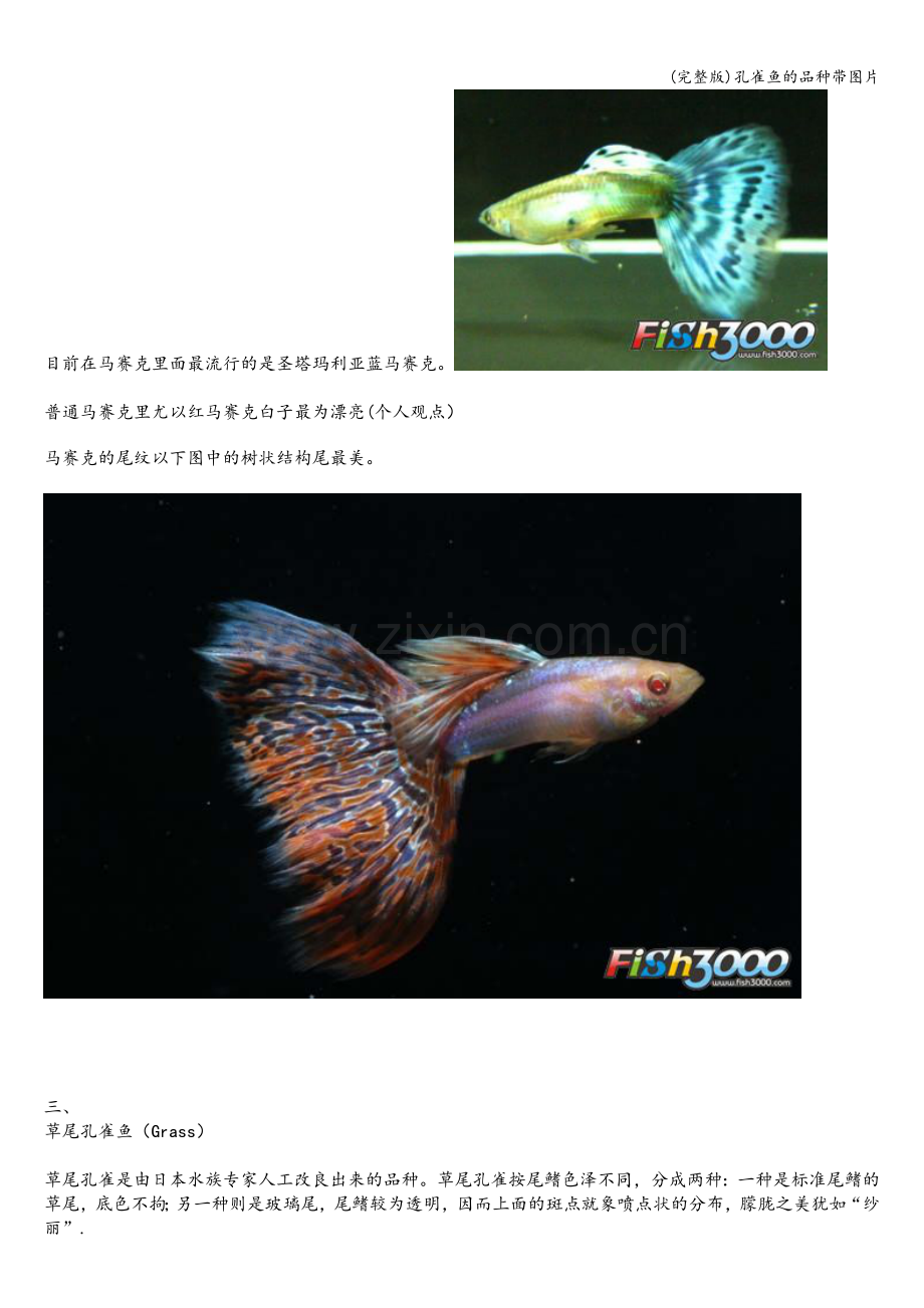 孔雀鱼的品种带图片.doc_第2页