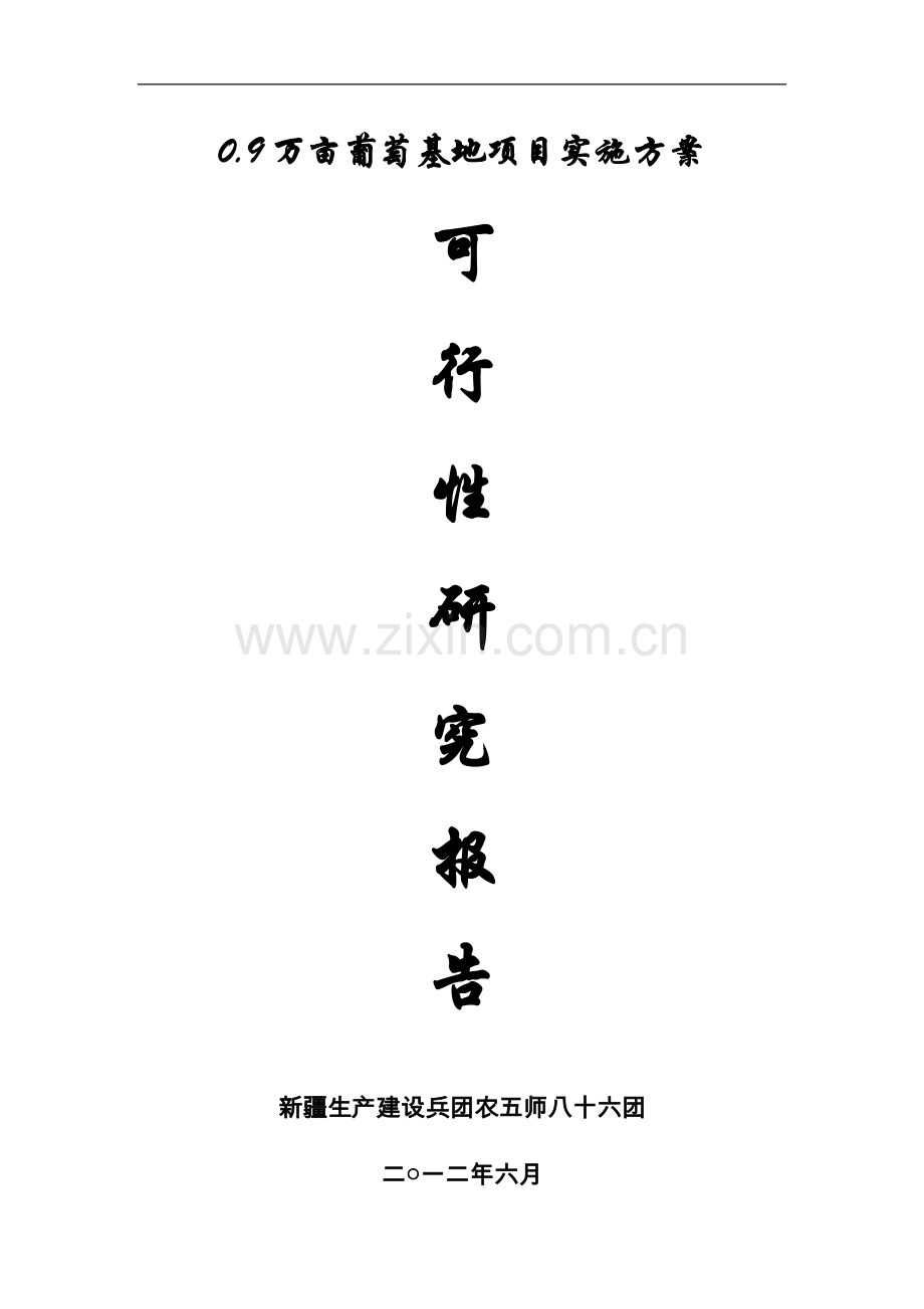 9万亩葡萄基地项目实施方案说明(代可行性研究报告).doc_第1页