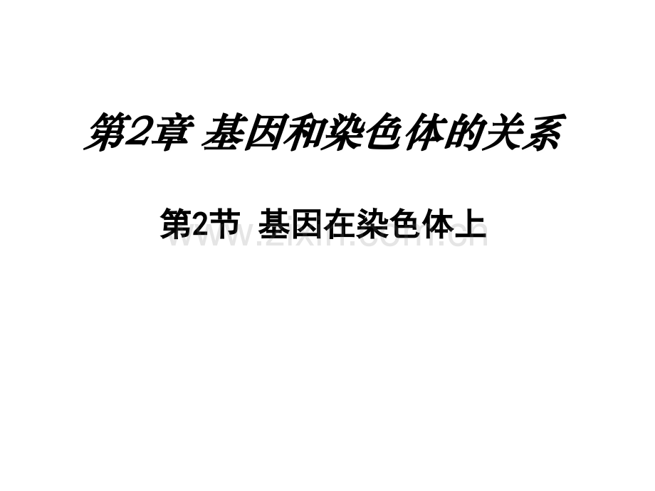 《基因在染色体上》精华版PPT课件.-ppt.ppt_第1页