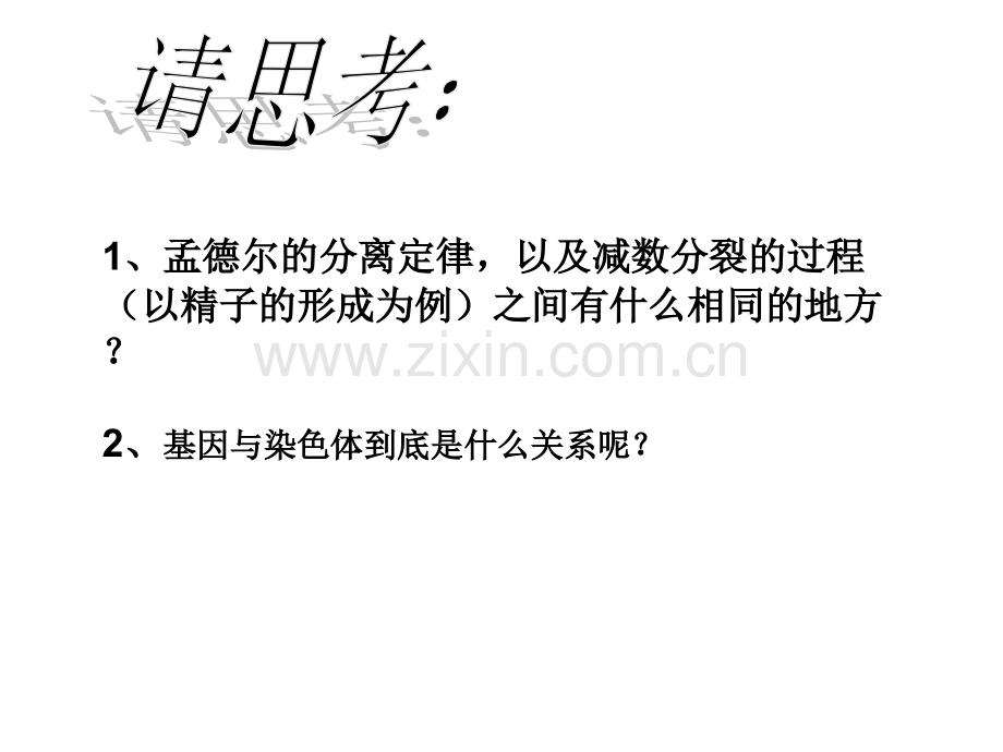 《基因在染色体上》精华版PPT课件.-ppt.ppt_第2页