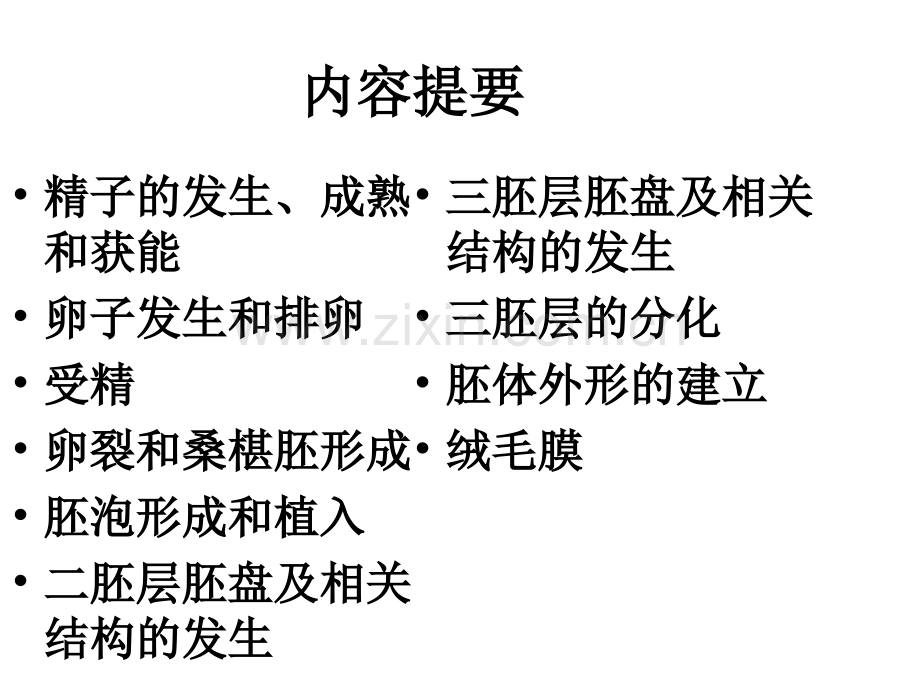 胚胎发生总论.ppt_第2页