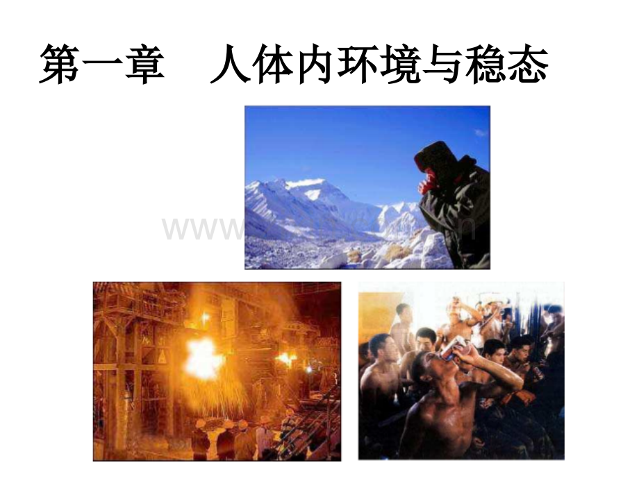 如何预防内环境稳态失调.ppt_第1页