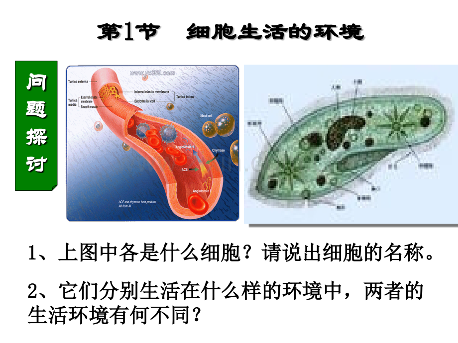 如何预防内环境稳态失调.ppt_第2页