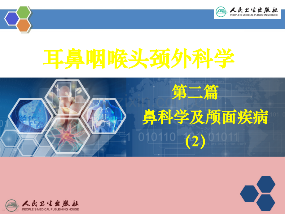 13慢性鼻炎.ppt_第2页