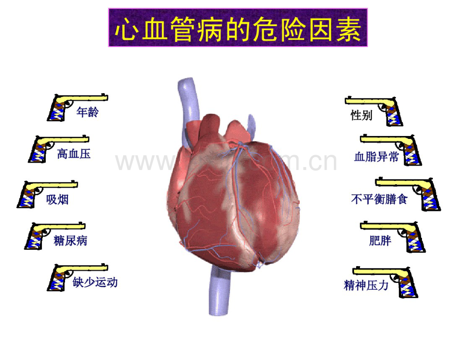 吴兆苏-心血管病防治策略(吴兆苏).pdf_第2页