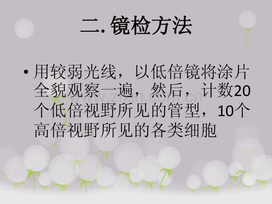 尿液有形成分镜检.pdf_第2页