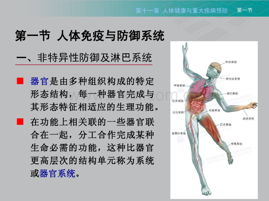 生命科学导论-健康与疾病2012-7.pdf_第2页