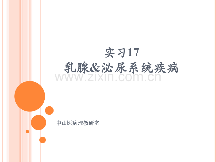 病理实习PPT课件乳腺肾脏肿瘤(ppt文档).ppt_第1页