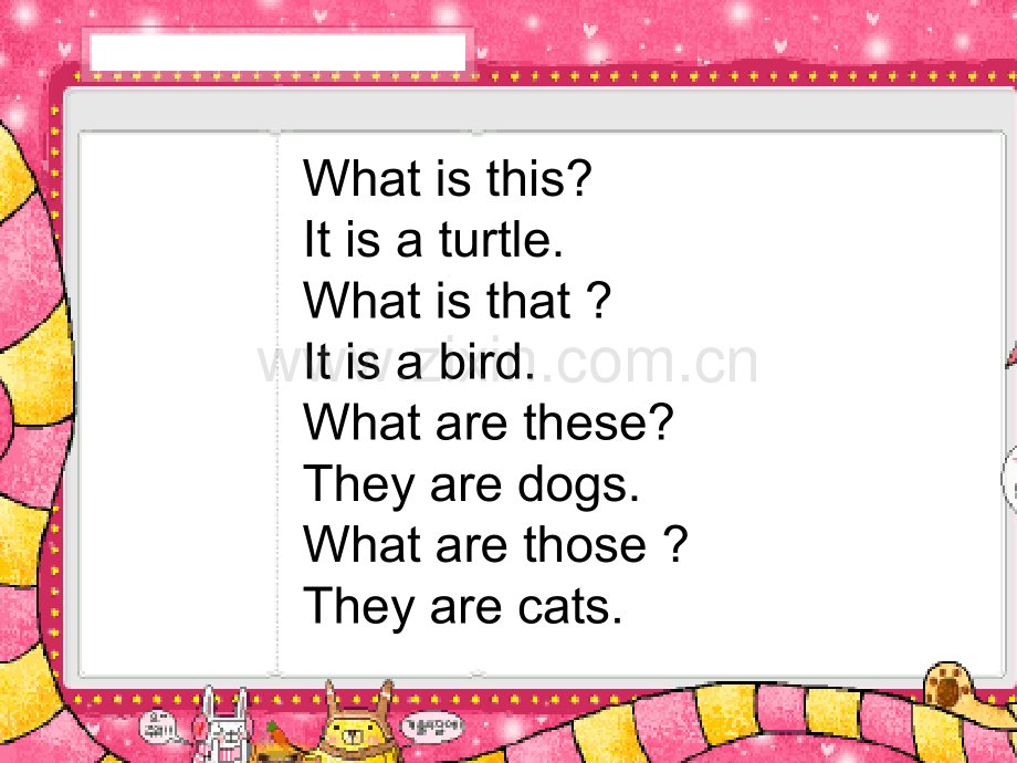 pet-friend---our-pet-friends.ppt_第2页