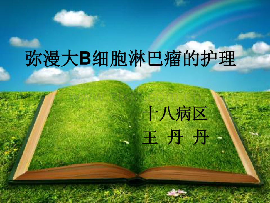 弥漫大b细胞淋巴瘤的护理.pdf_第1页