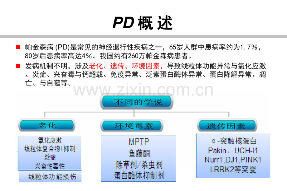 帕金森病的早期诊断2016.pdf_第2页