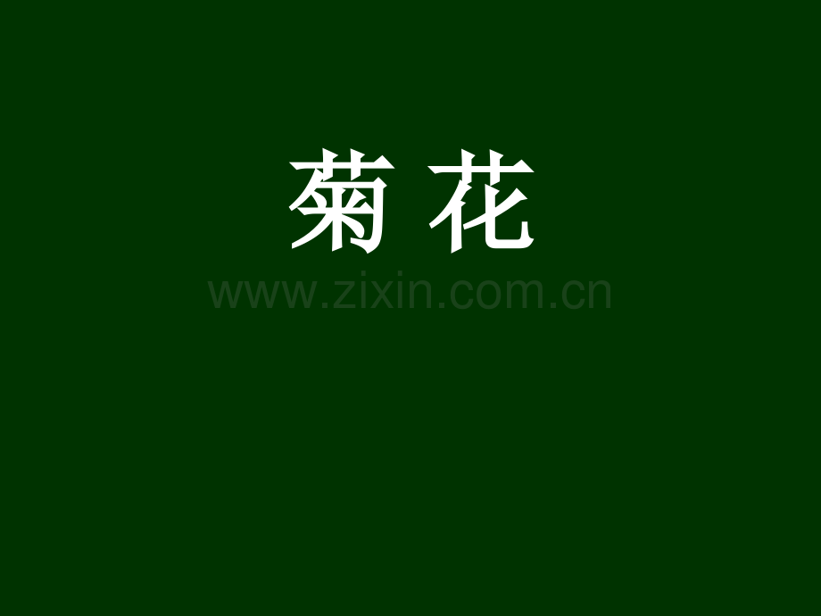 沪教版-三年级上-作文-菊花.ppt_第1页