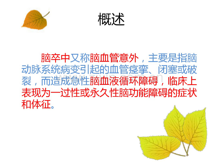 脑卒中居家康复护理.pdf_第2页