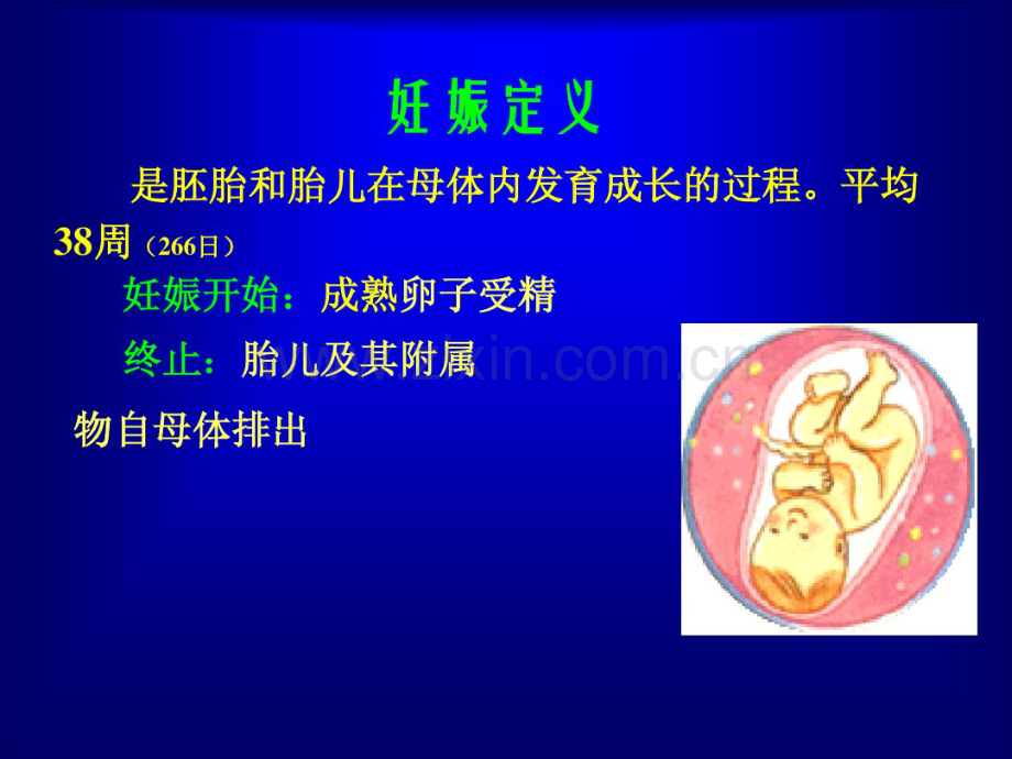 妊娠生理及诊断-(2).pdf_第2页