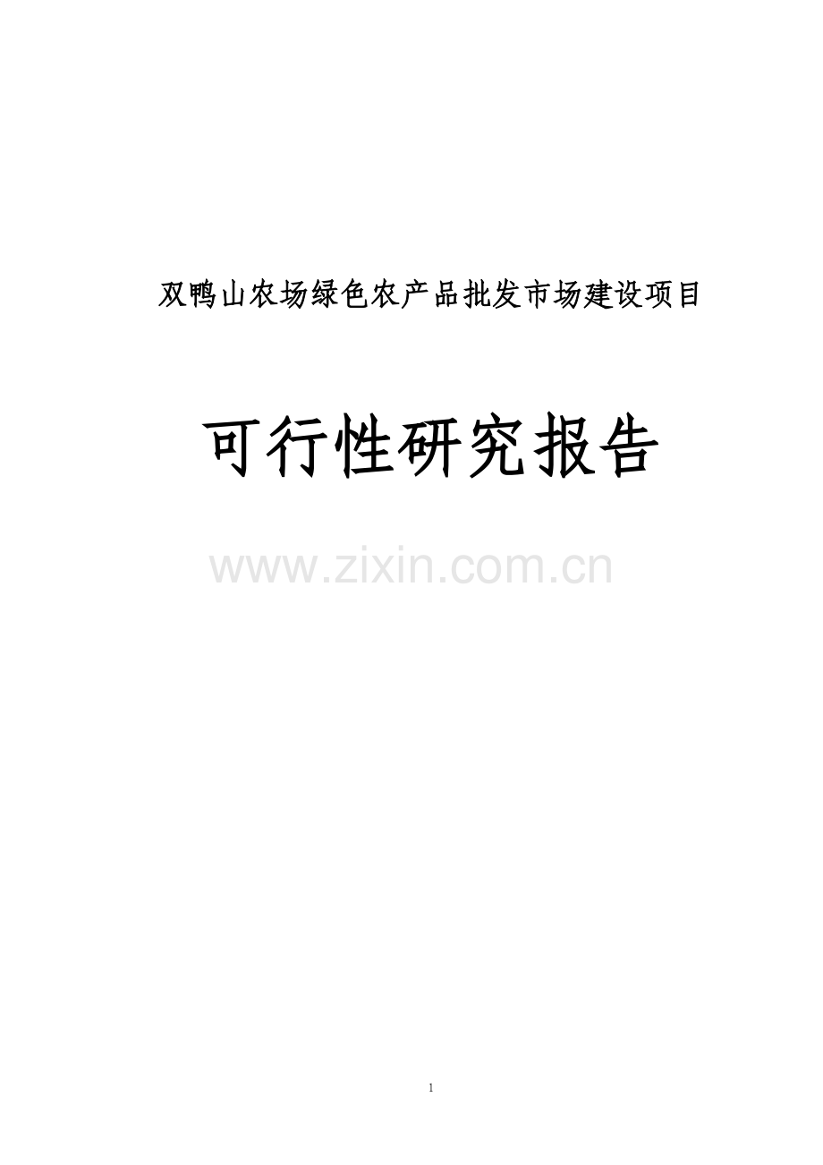 双鸭山农场绿色农产品批发市场建设项目申请建设可研报告.doc_第1页