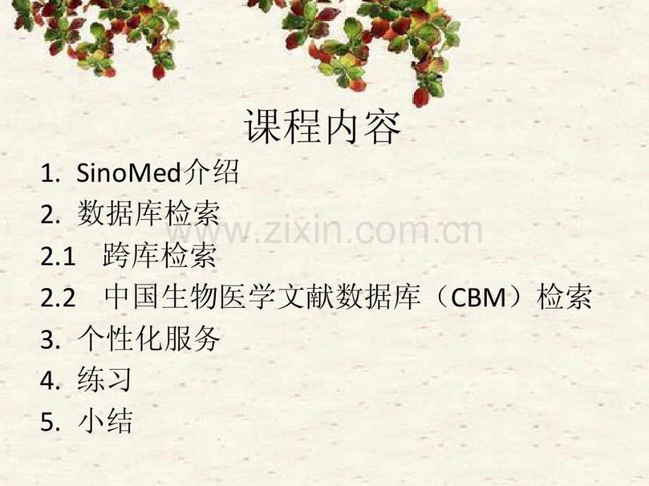 sinomed(CBM)教程.pdf_第2页