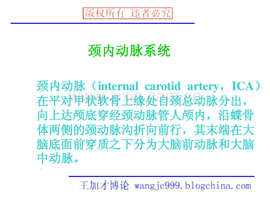 脑血管及影像ppt.pdf_第2页