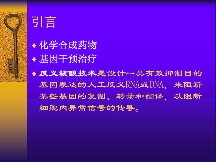 RNAi及其在抗HIV中的初步应用(20190716161436).pdf_第2页