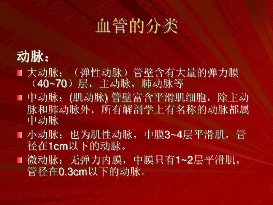 脑血管(脑动脉系)资料.pdf_第2页