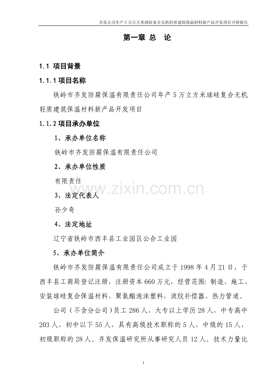 铁岭齐发建材建设投资可行性研究报告.doc_第1页