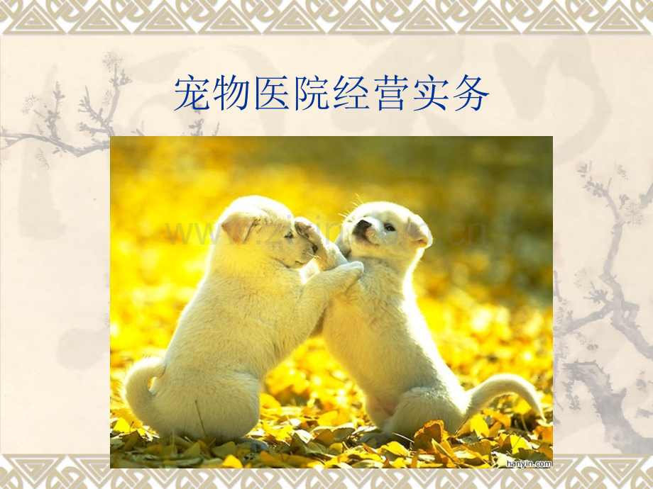 宠物医院经营实务-(1).ppt_第1页