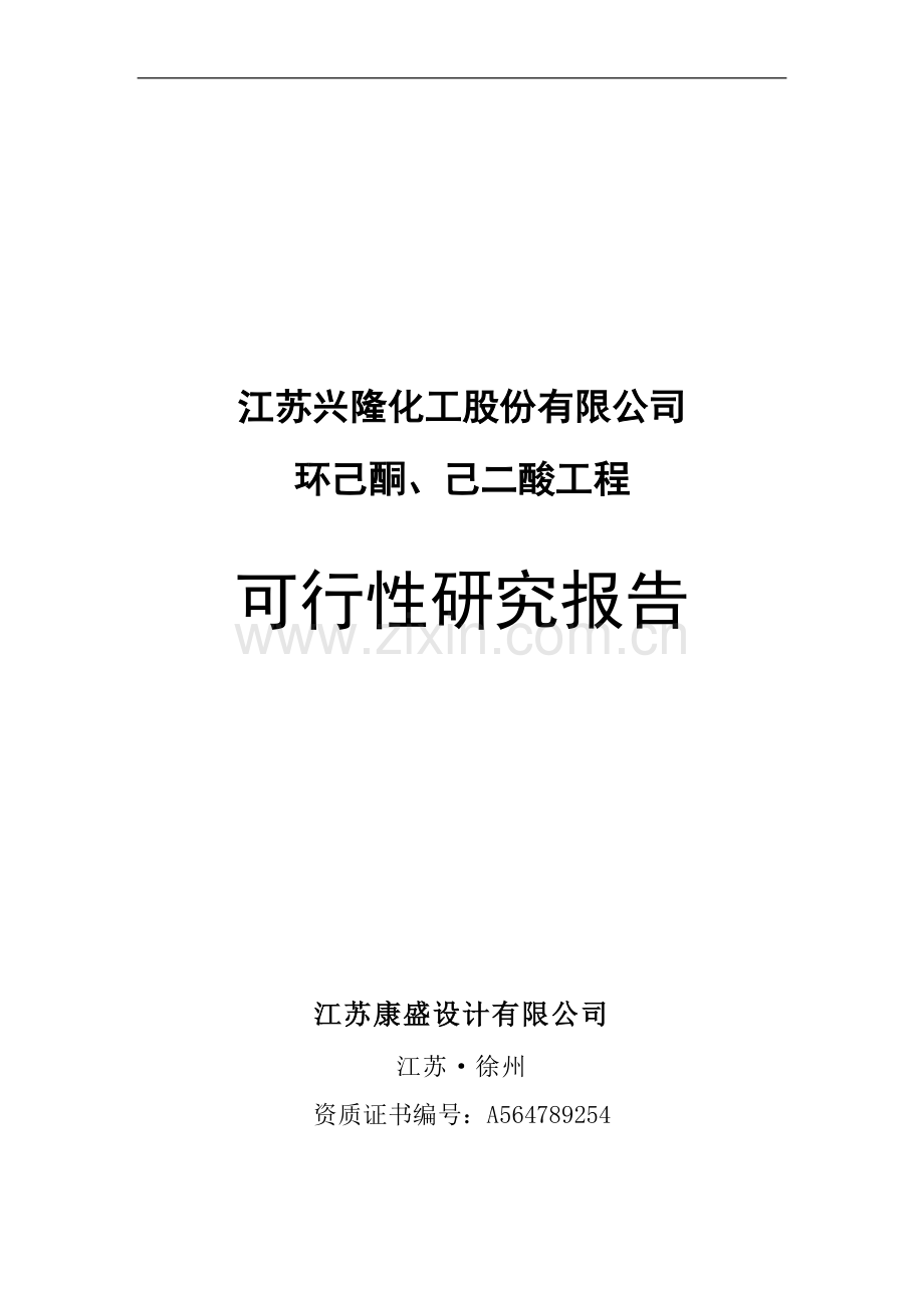 化工公司环己酮及己二酸工程项目可行性研究报告.doc_第1页