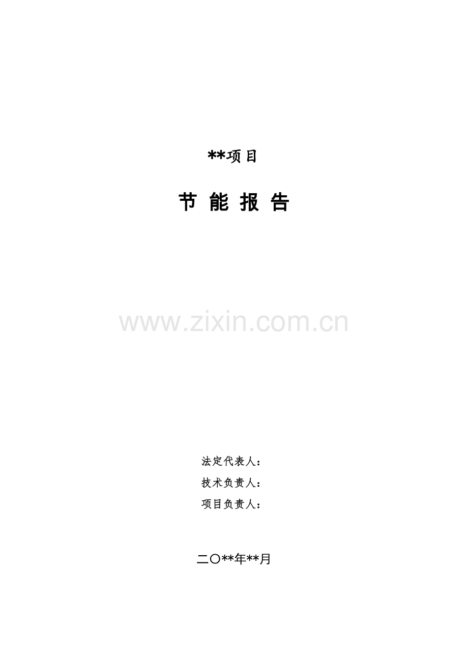 节能报告模板(按照固定资产投资项目节能审查系列工作指南2018年本编写).doc_第2页