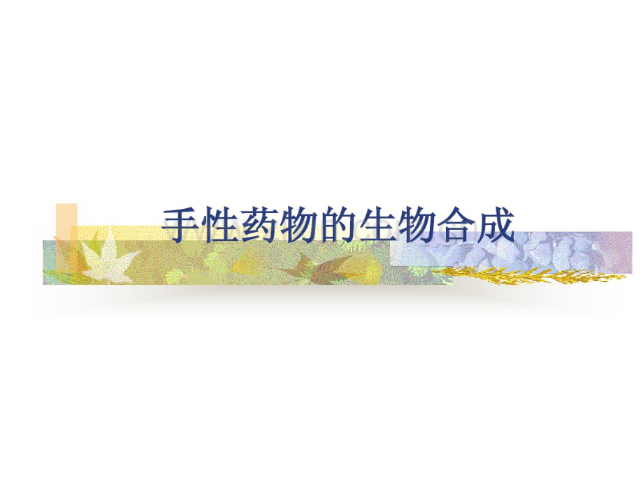手性药物的生物合成.pdf_第1页