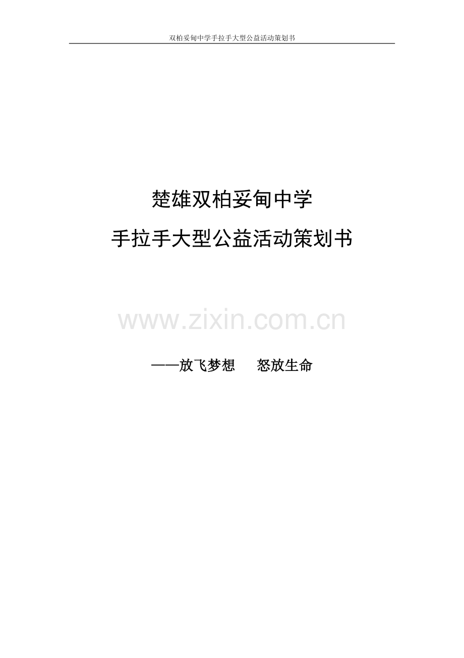 双柏妥甸中学手拉手大型公益活动策划书.doc_第1页