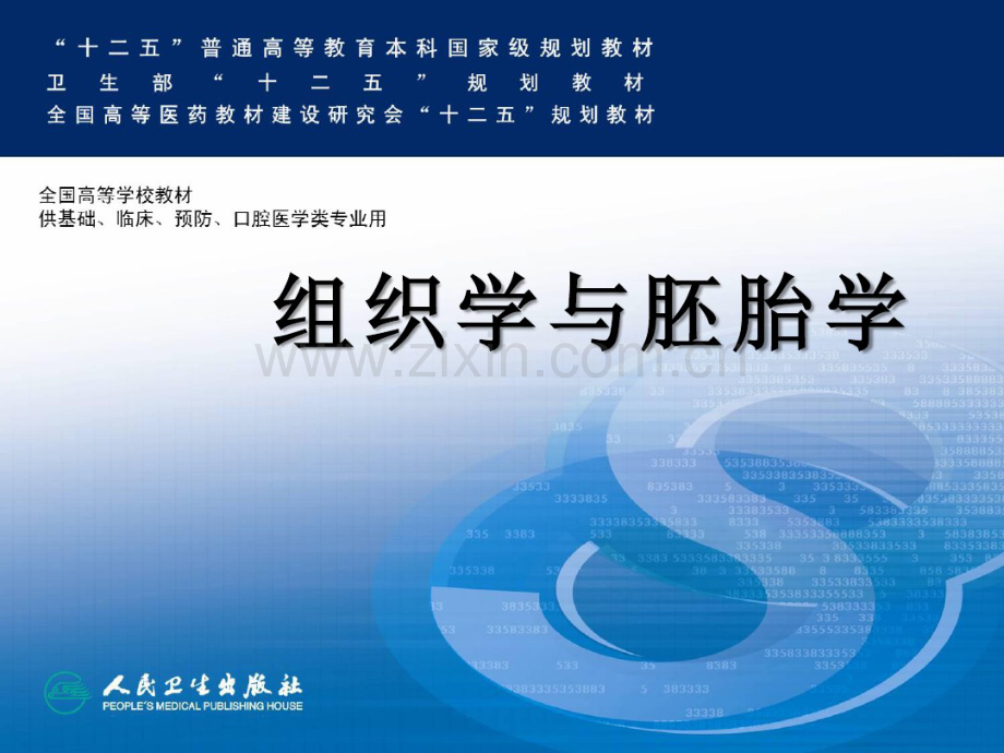 呼吸系统组织结构.pdf_第1页
