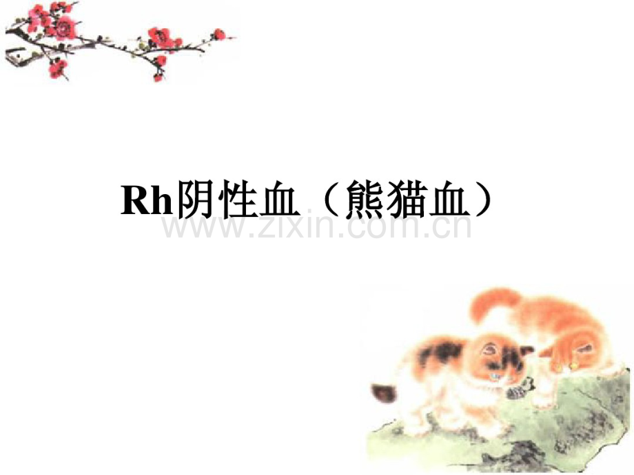 Rh阴性血型有关知识-(2).pdf_第1页