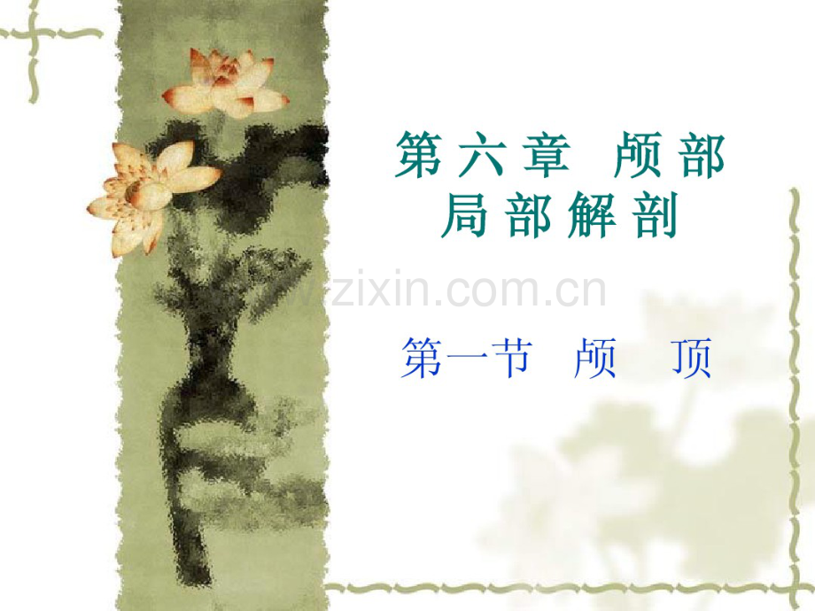 头颅局部解剖.pdf_第1页