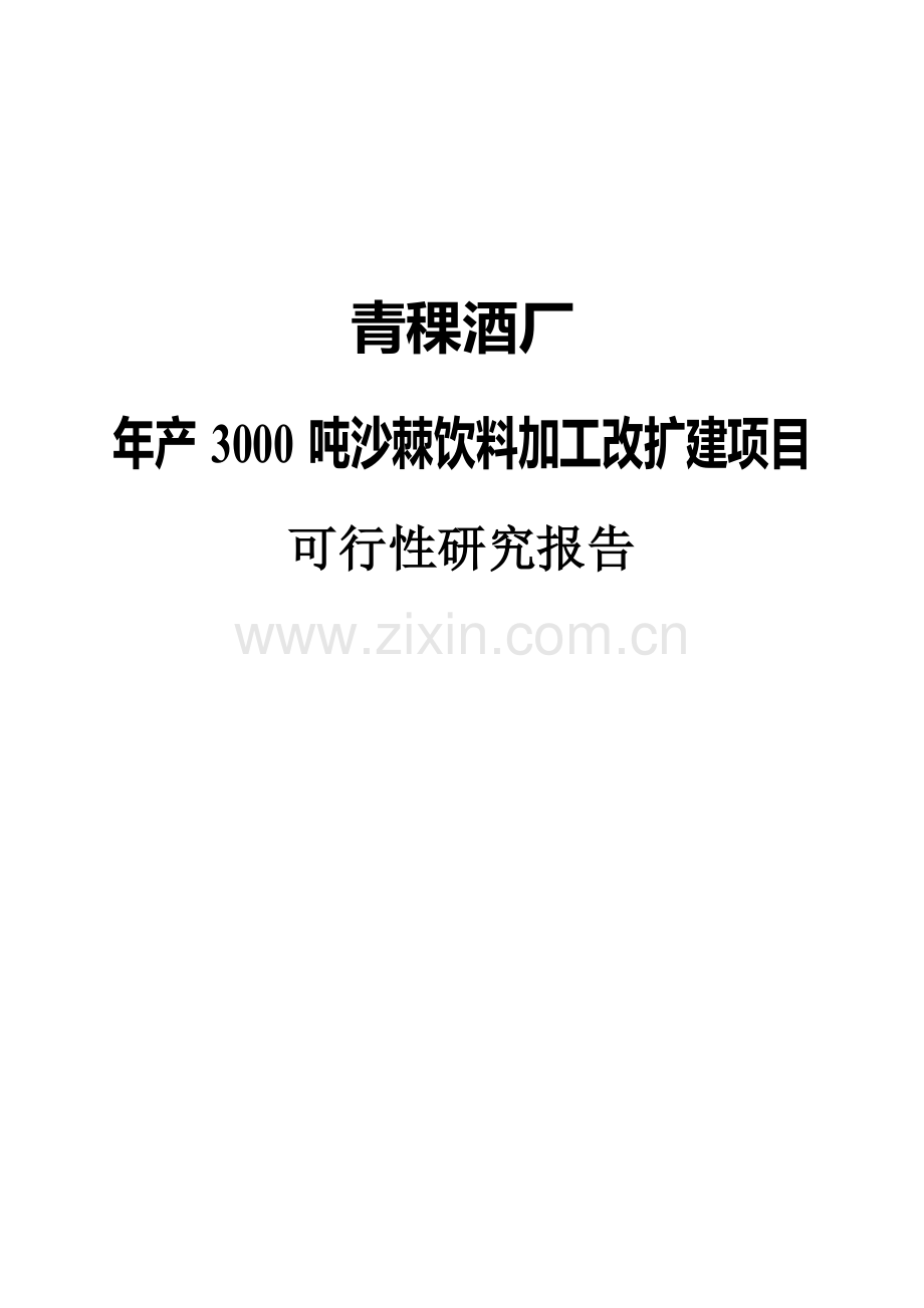年产3000吨沙棘饮料加工改扩建项目申请立项可研报告.doc_第1页