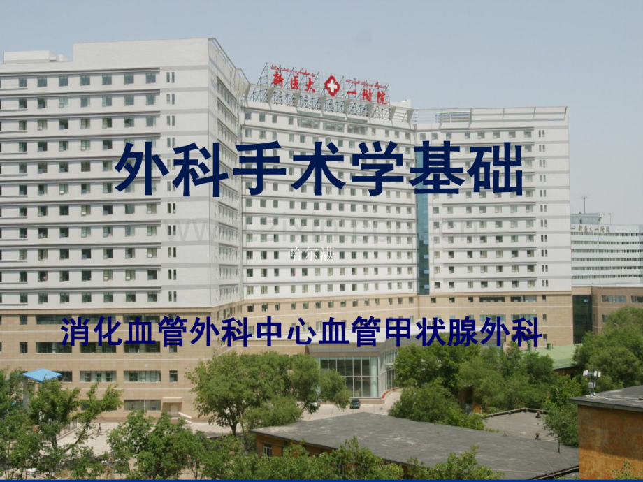 外科手术学基础.pdf_第1页