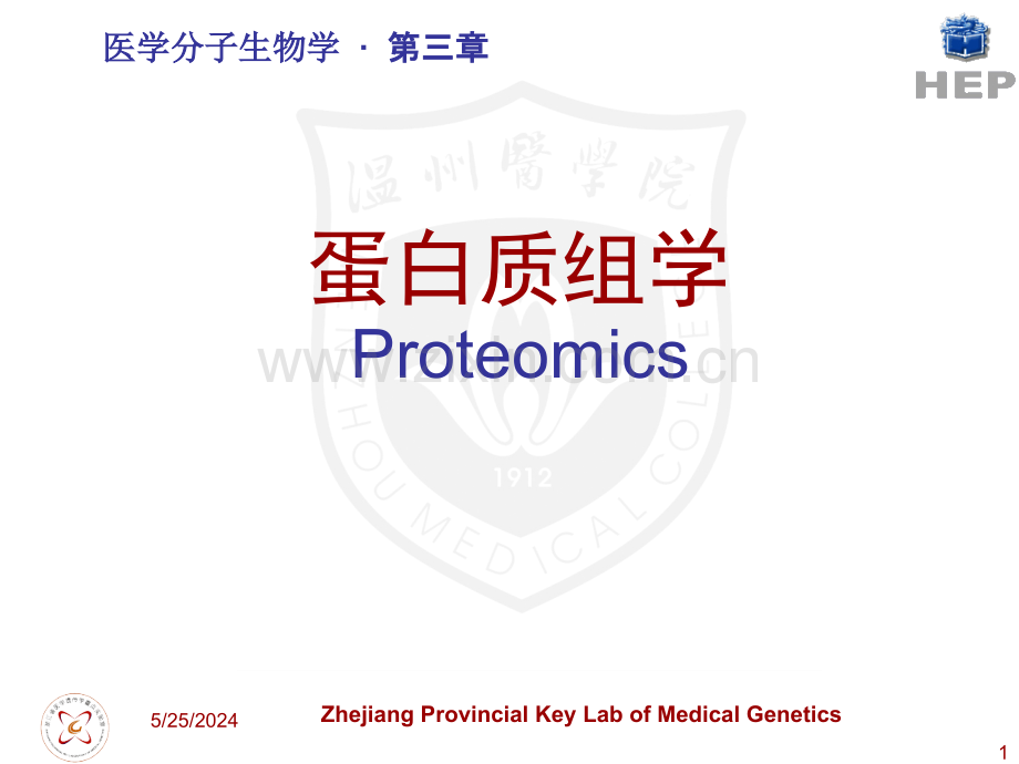 蛋白质组学(ppt文档).ppt_第1页