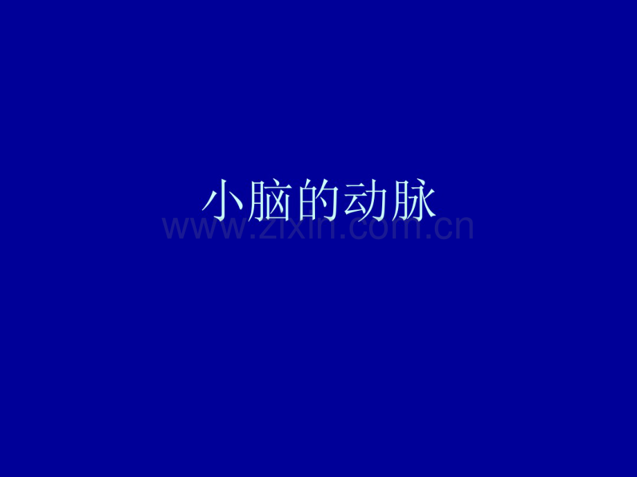 小脑动脉.pdf_第1页