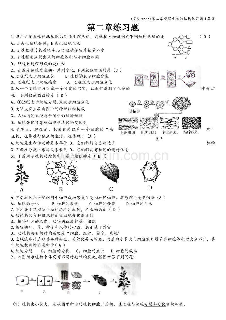 第二章观察生物的结构练习题及答案.doc_第1页