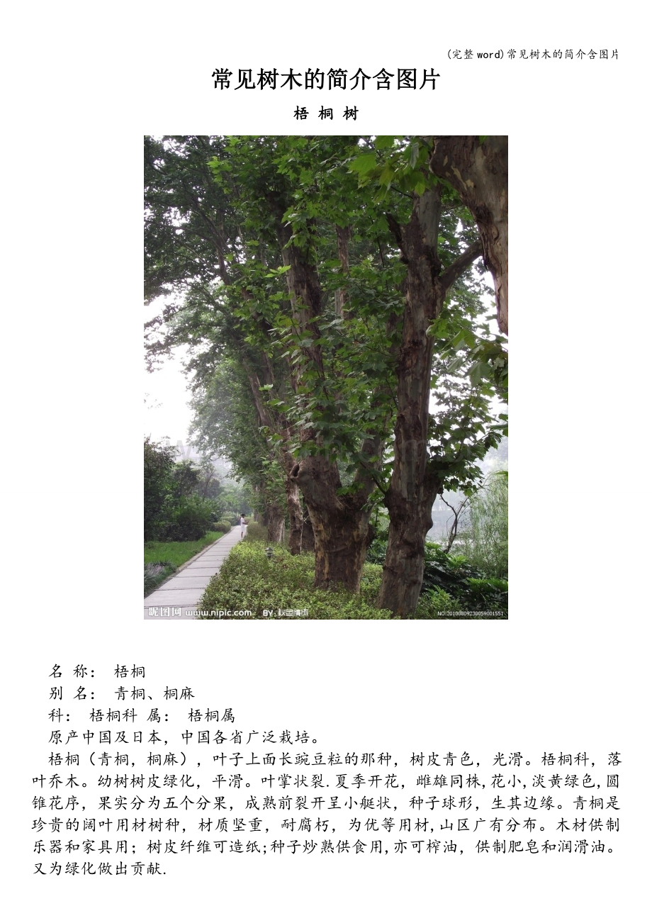 常见树木的简介含图片.doc_第1页