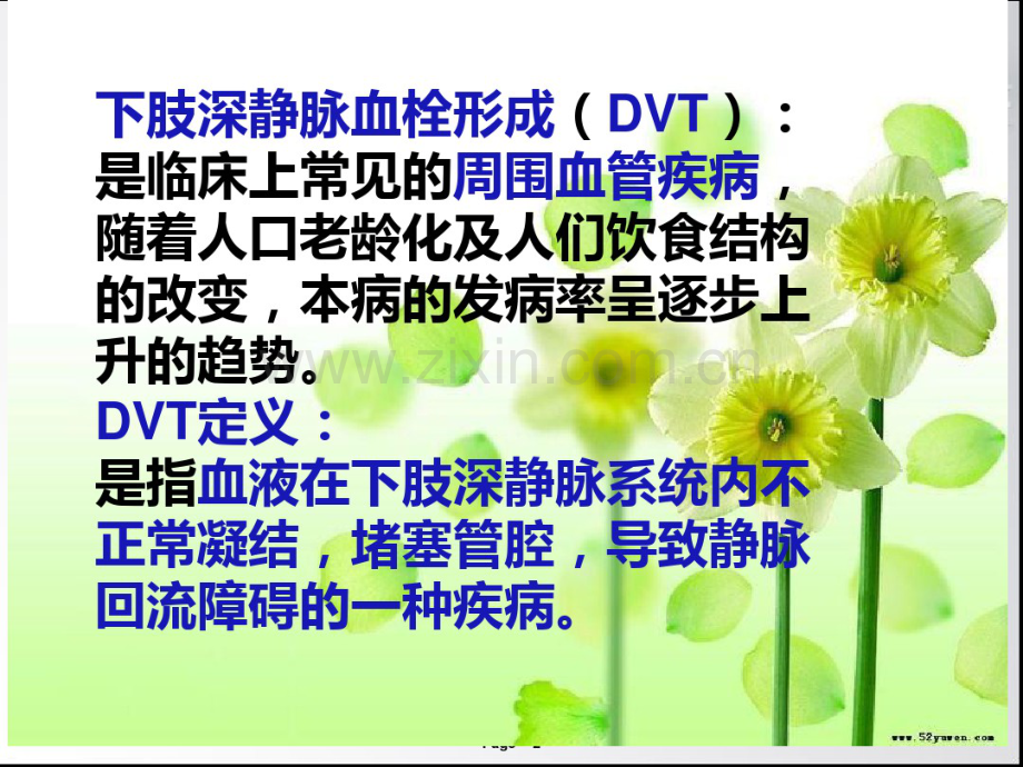 下肢深静脉血栓的护理.pdf_第2页