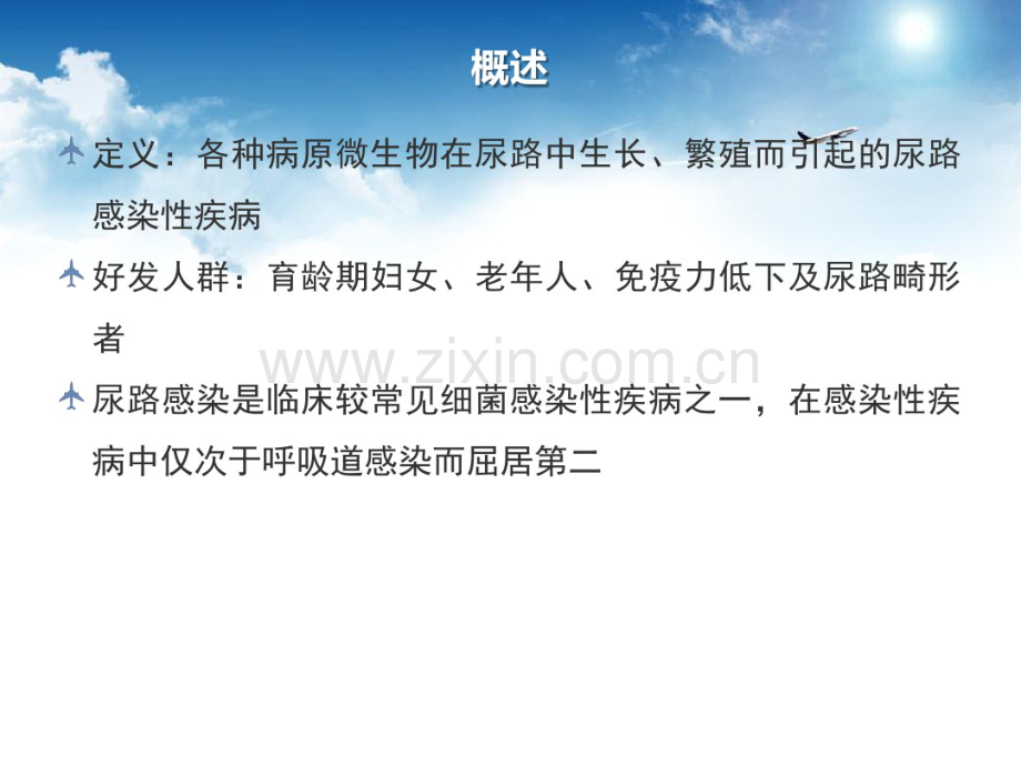 尿路感染及诊疗指南.pdf_第2页