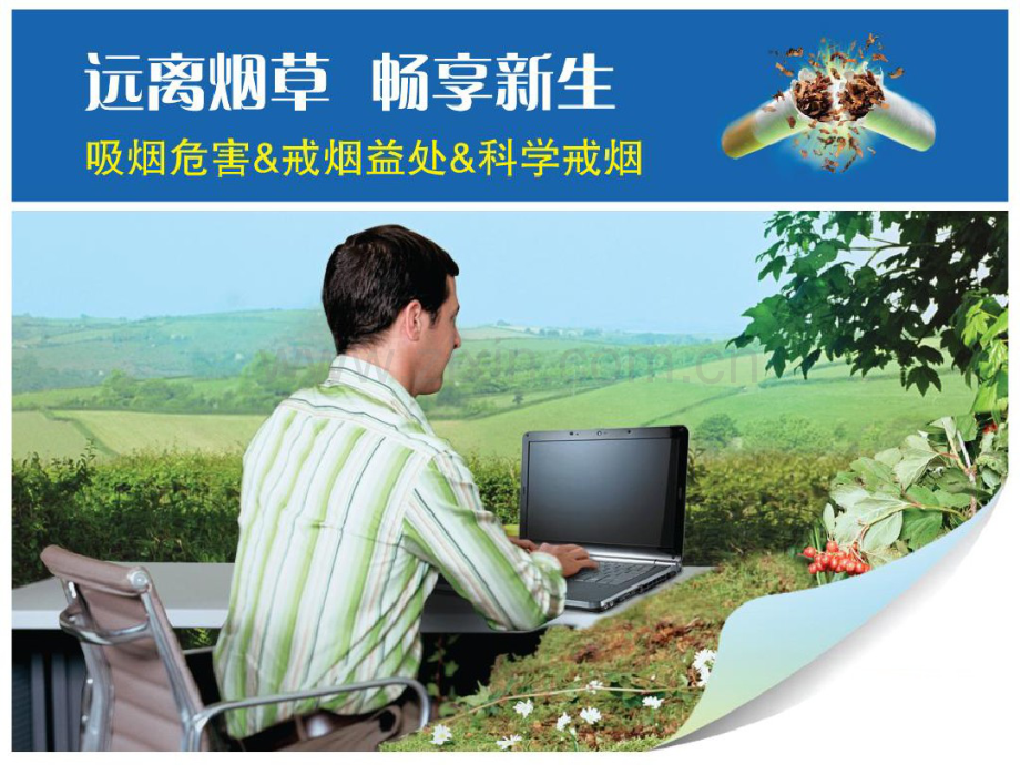 吸烟的危害.pdf_第1页