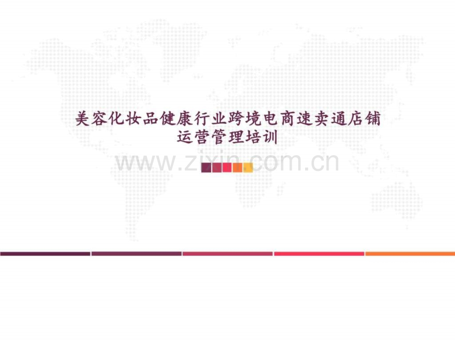美容化妆品健康行业跨境电商速卖通店铺运营管理培训图文.ppt_第2页