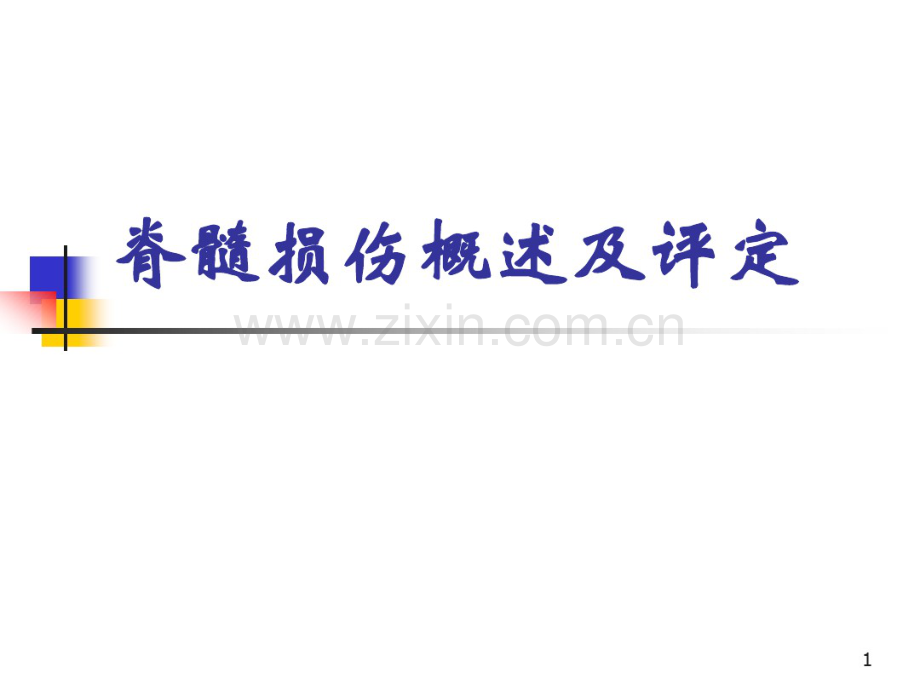 脊髓损伤评定-(2).pdf_第1页