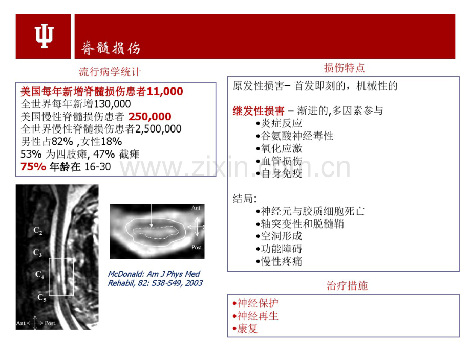 脊髓损伤评定-(2).pdf_第2页