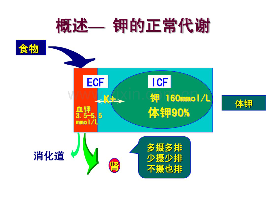 水、电解质代谢障碍.pdf_第2页