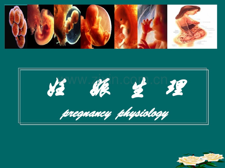 妊娠生理(7版)-(2).pdf_第1页