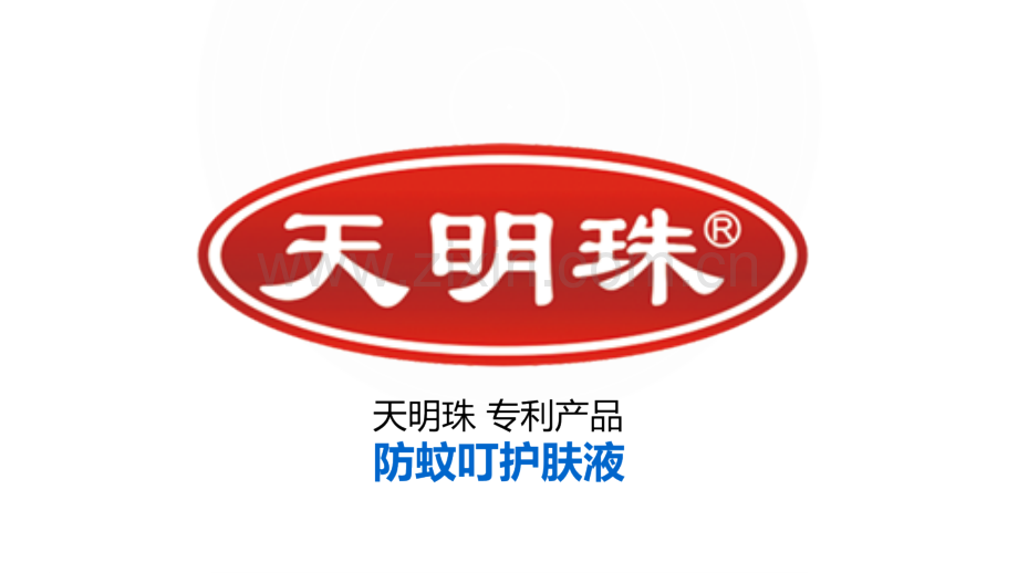 天明珠介绍.ppt_第1页